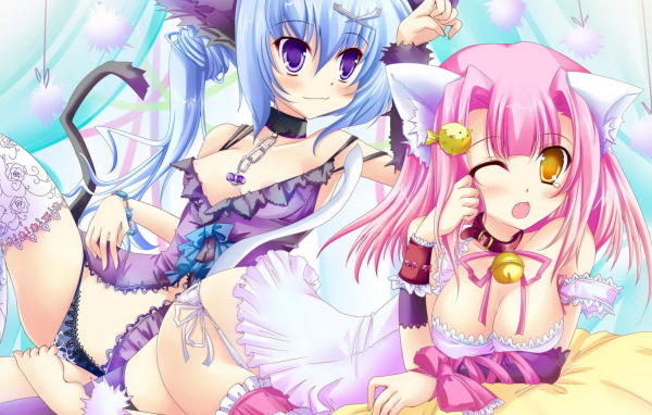 Парочка кошечек