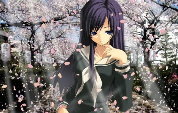 В цвете сакуры