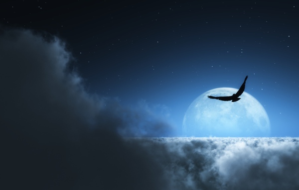 На фоне луны