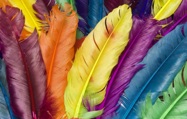 Разноцветные перья