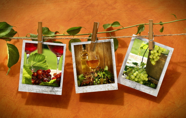 Фотографии