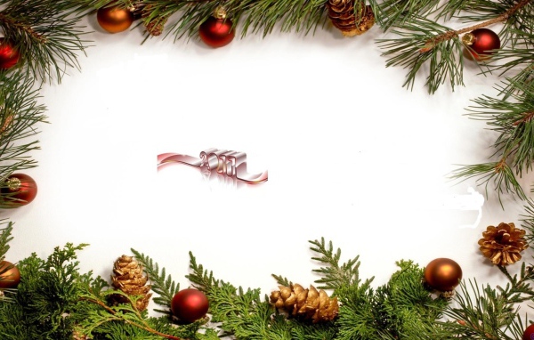 Новый Год 2011