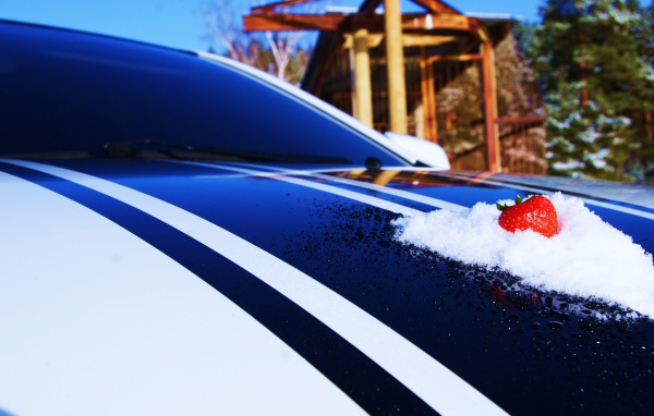 Клубника на капоте