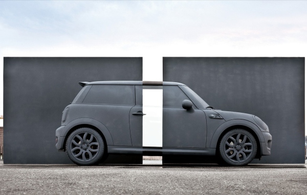 Аэрография хамелеон