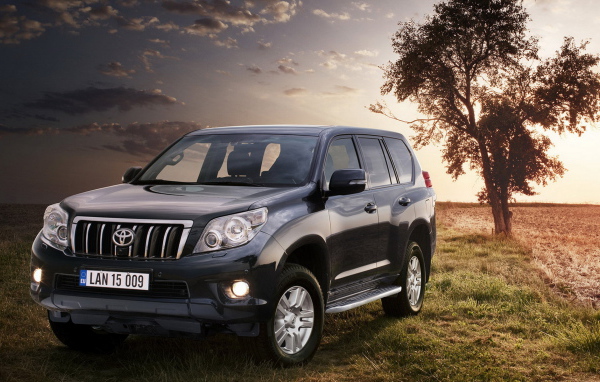 Toyota Land Cruiser возле дерева