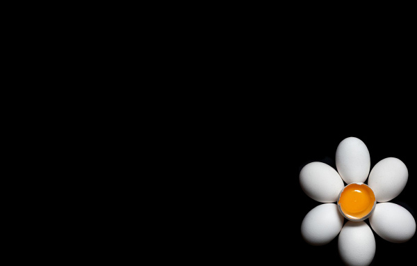 Ромашка из куриных яиц