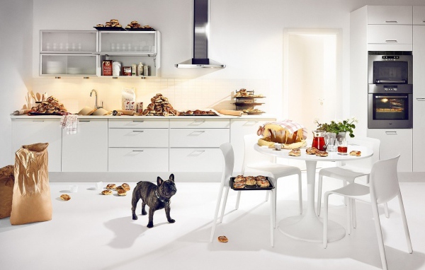 Собачье счастье