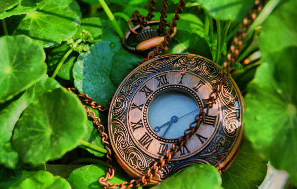 Карманные часы