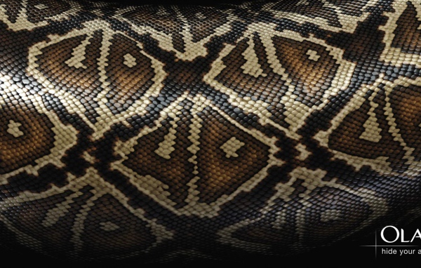 Змеиная кожа