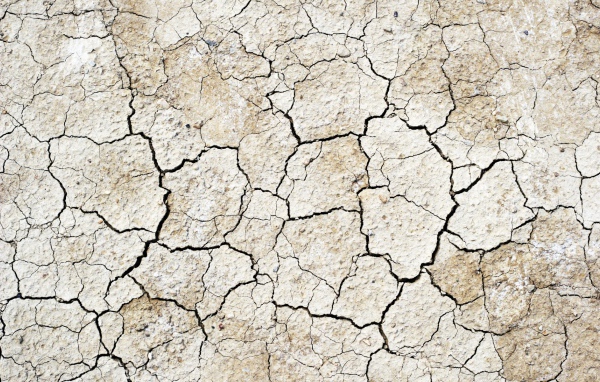 Земля выжженная солнцем