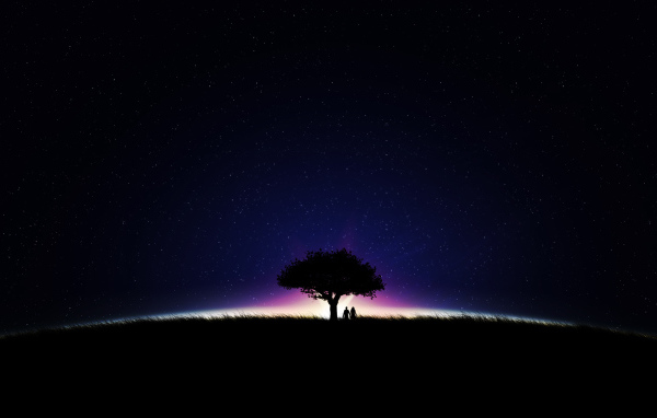 Звезды на ночном небе