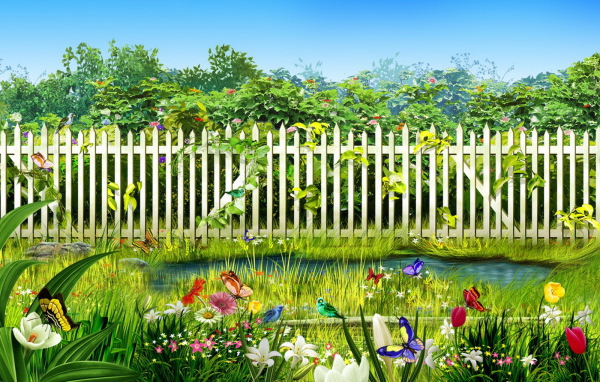 Дачный участок