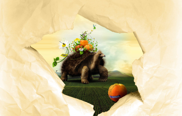 Черепаха и персики