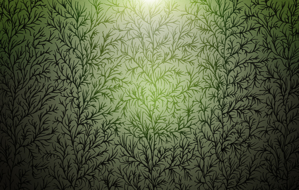 Ветки Лесная текстура