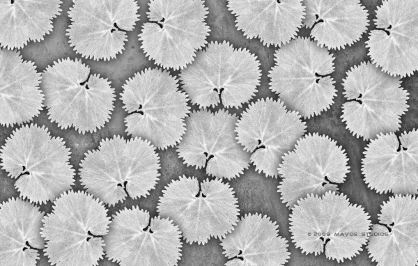 Белые листья