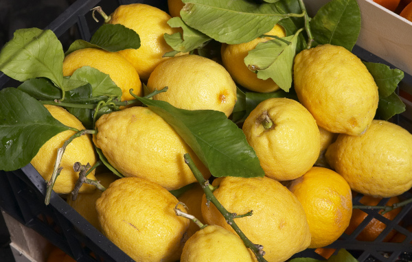 Свежие лимоны