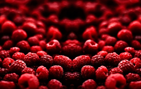 Малиновый рай