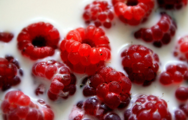 Малина в молоке