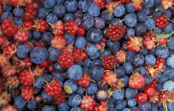 Лесное ассорти