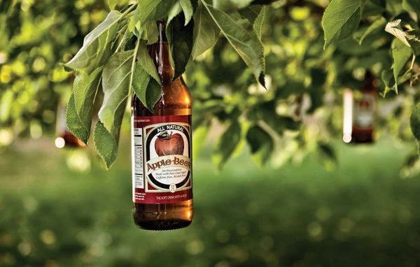 Яблочное пиво