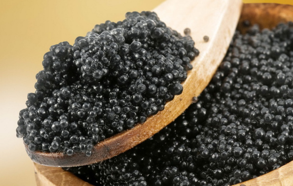 Черная икра