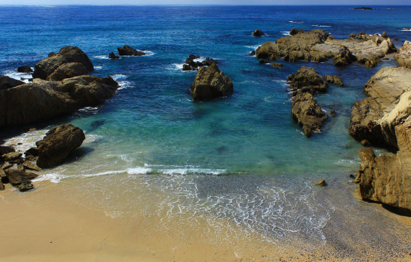 На берегу моря