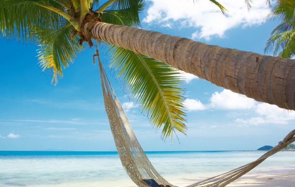 Гамак на берегу океана