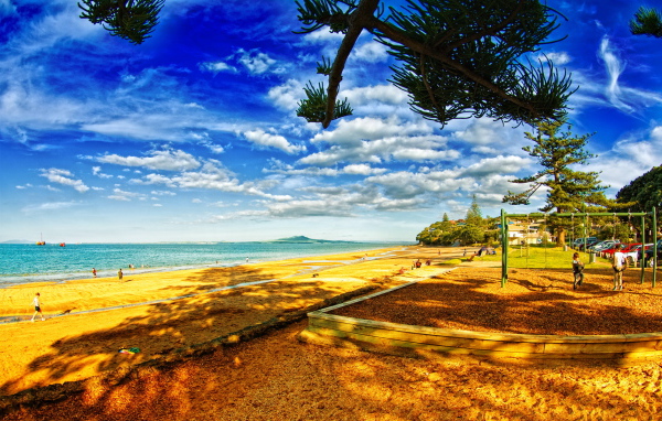 В тени деревьев