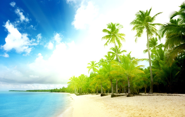 Пальмы на пляже