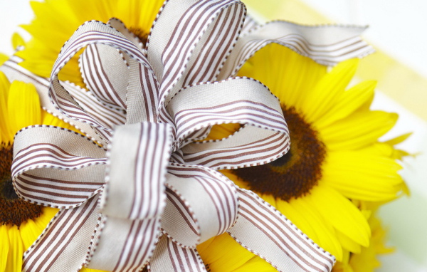 Солнечный подарок