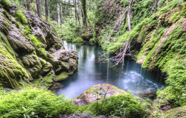 Лес, каменные склоны, ручей