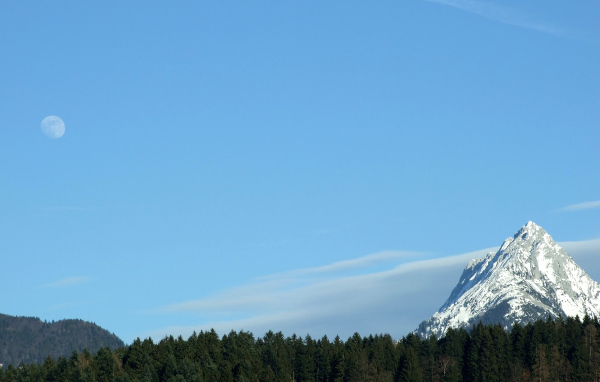 Гора над лесом