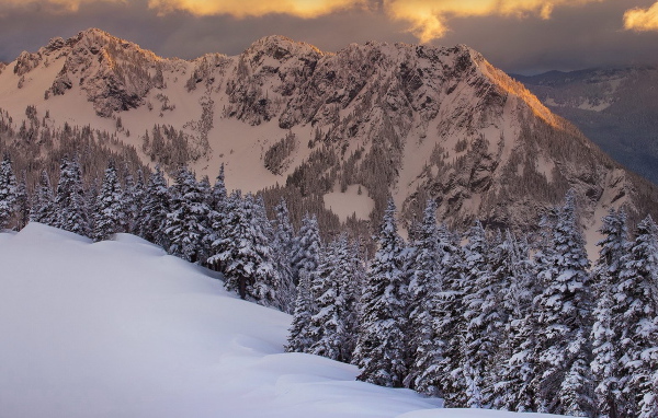 Горная свежесть