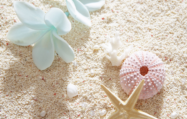 Красоты морского дна