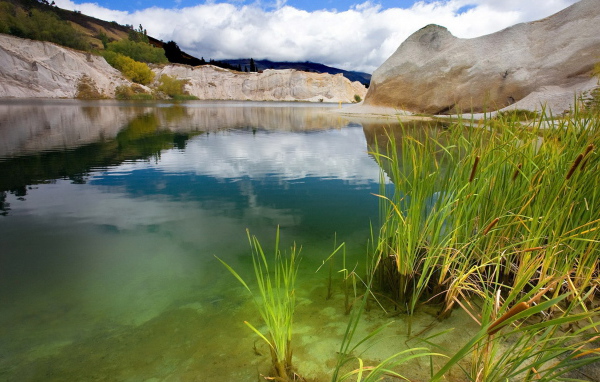 Зеленая вода