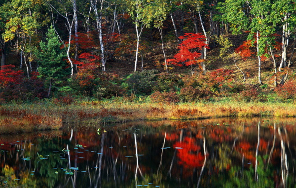Пейзаж осени