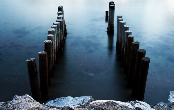 Бревна в воде