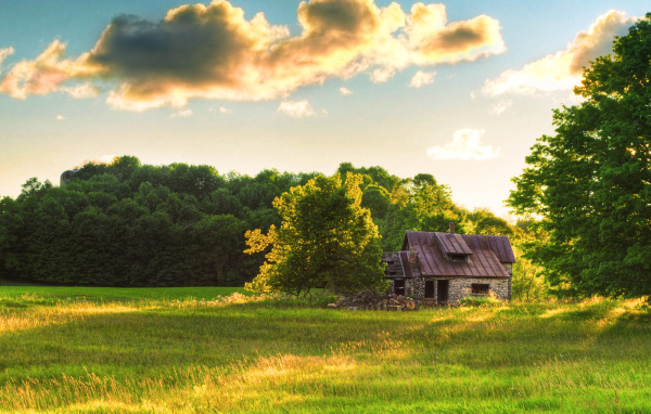 Старый домик на поляне