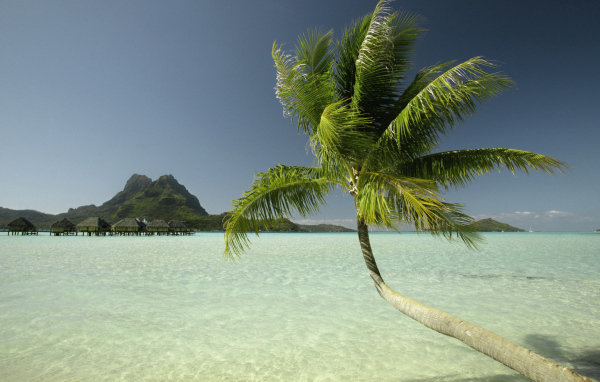 Paradise islands