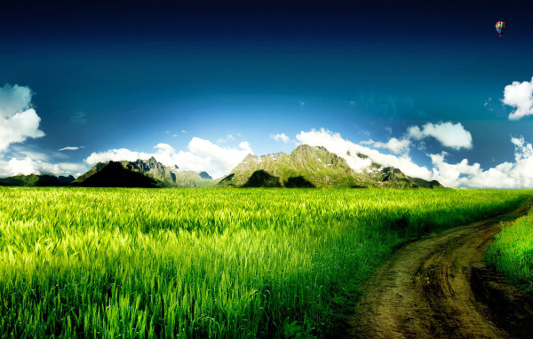 Дорога через поле