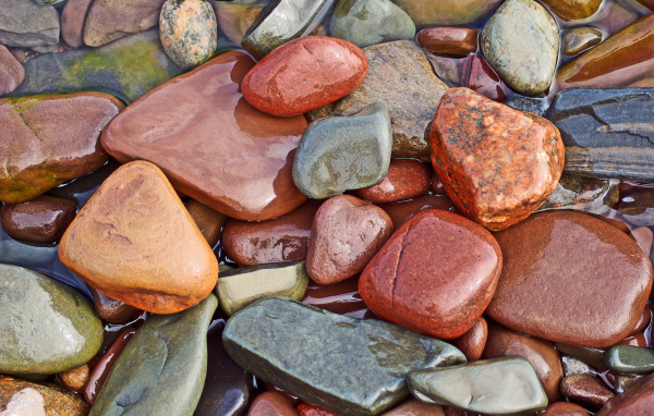 Мокрые камни