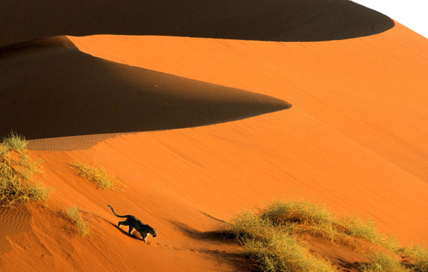 песчаные дюны