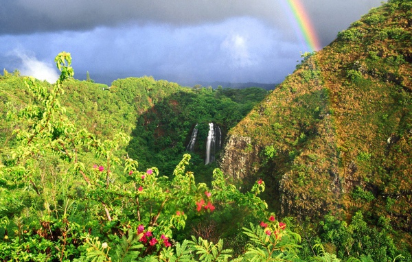 Водопад Опаека Гаваи