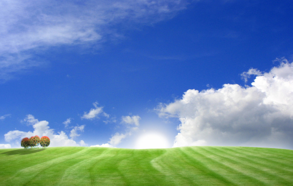 Зеленое поле и голубое небо