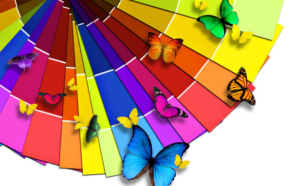 Разноцветные бабочки