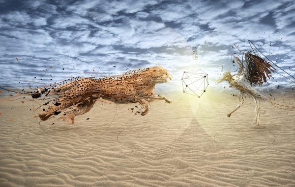 Хищник и птица