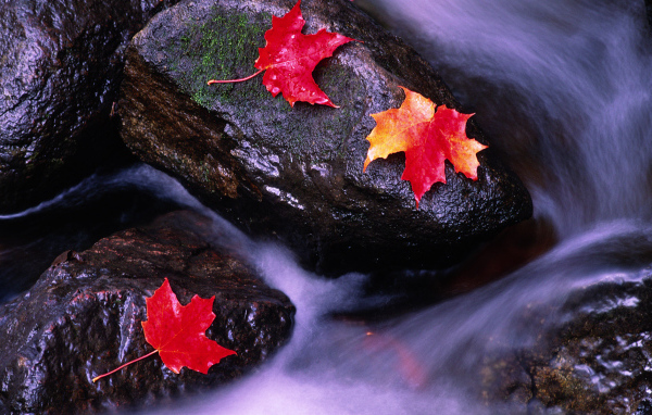 Реки Канады