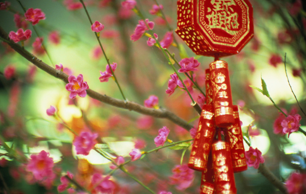 Цветущие растения в Китае