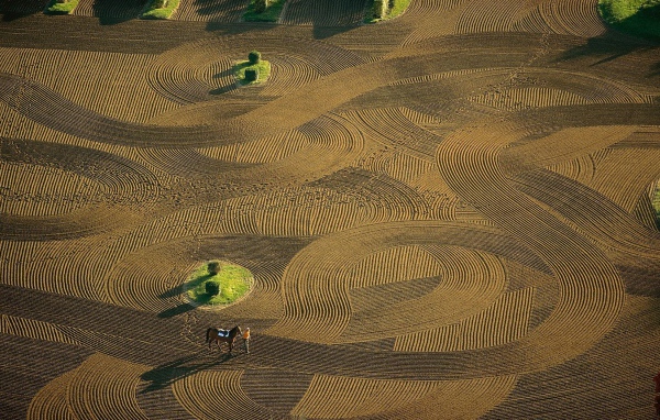 Лошадиная арена Франция