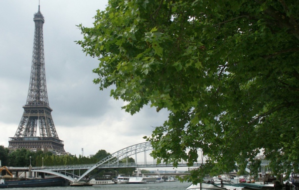 Вид на башню Париж